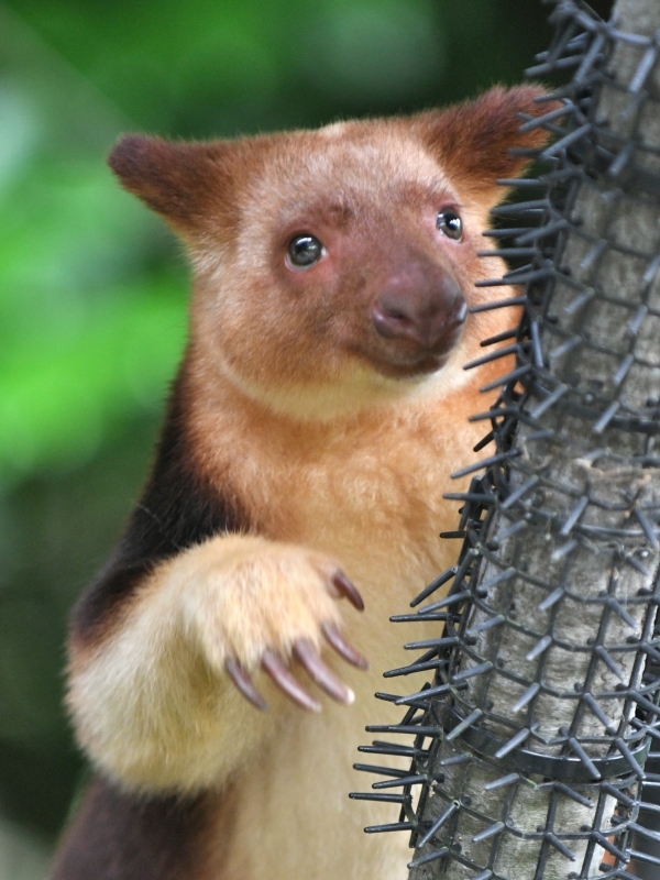 モアラと動物達の夏の始まり_a0164204_11551415.jpg