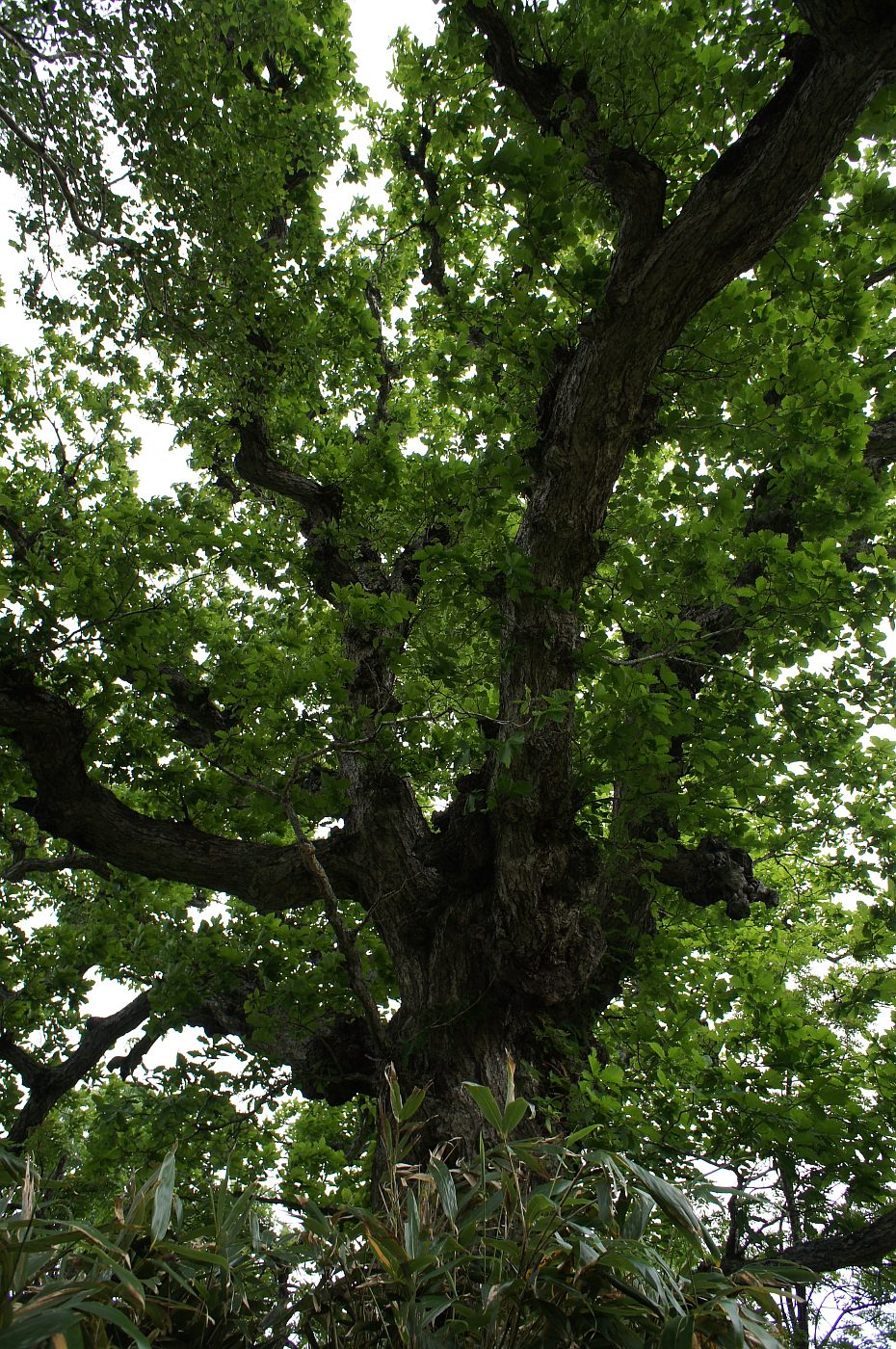 a0248508_1319271.jpg