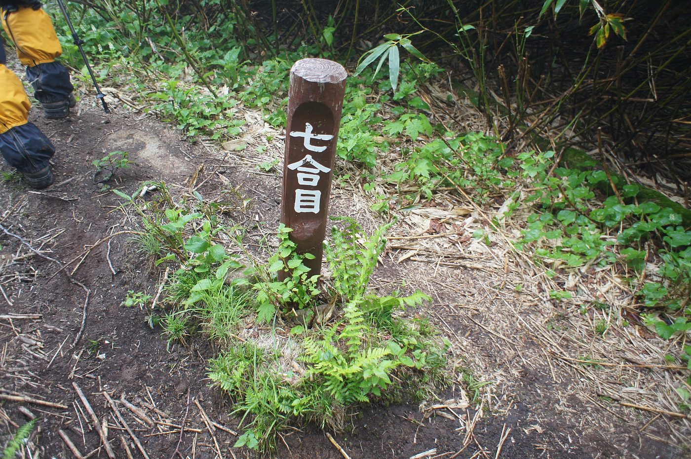 a0248508_13261844.jpg