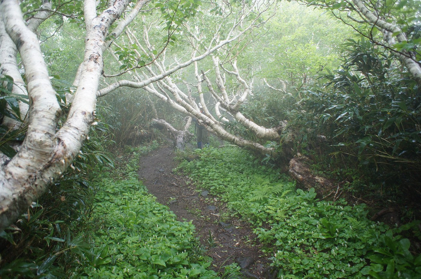 a0248508_13294373.jpg