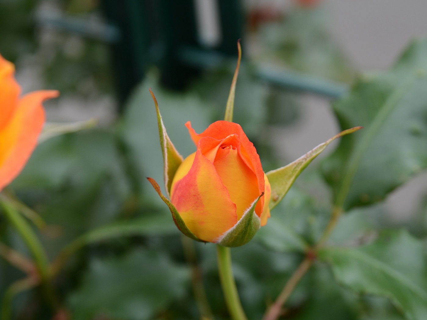 a0248508_7144961.jpg
