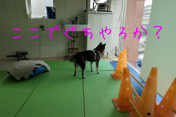 f0369014_11454639.jpg
