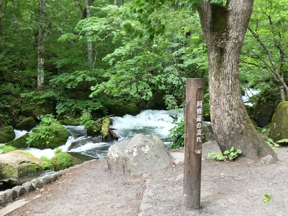 e0169920_14060493.jpg