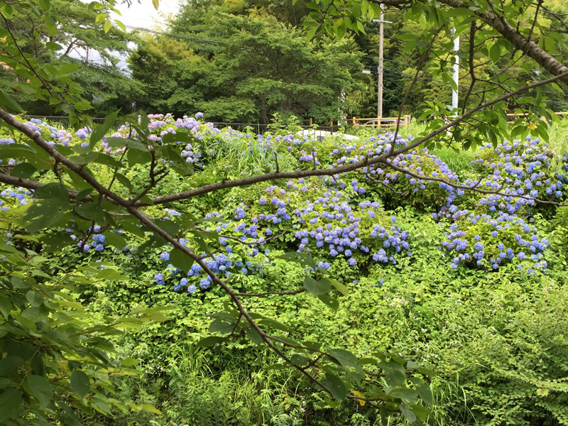 c0176622_12331696.jpg