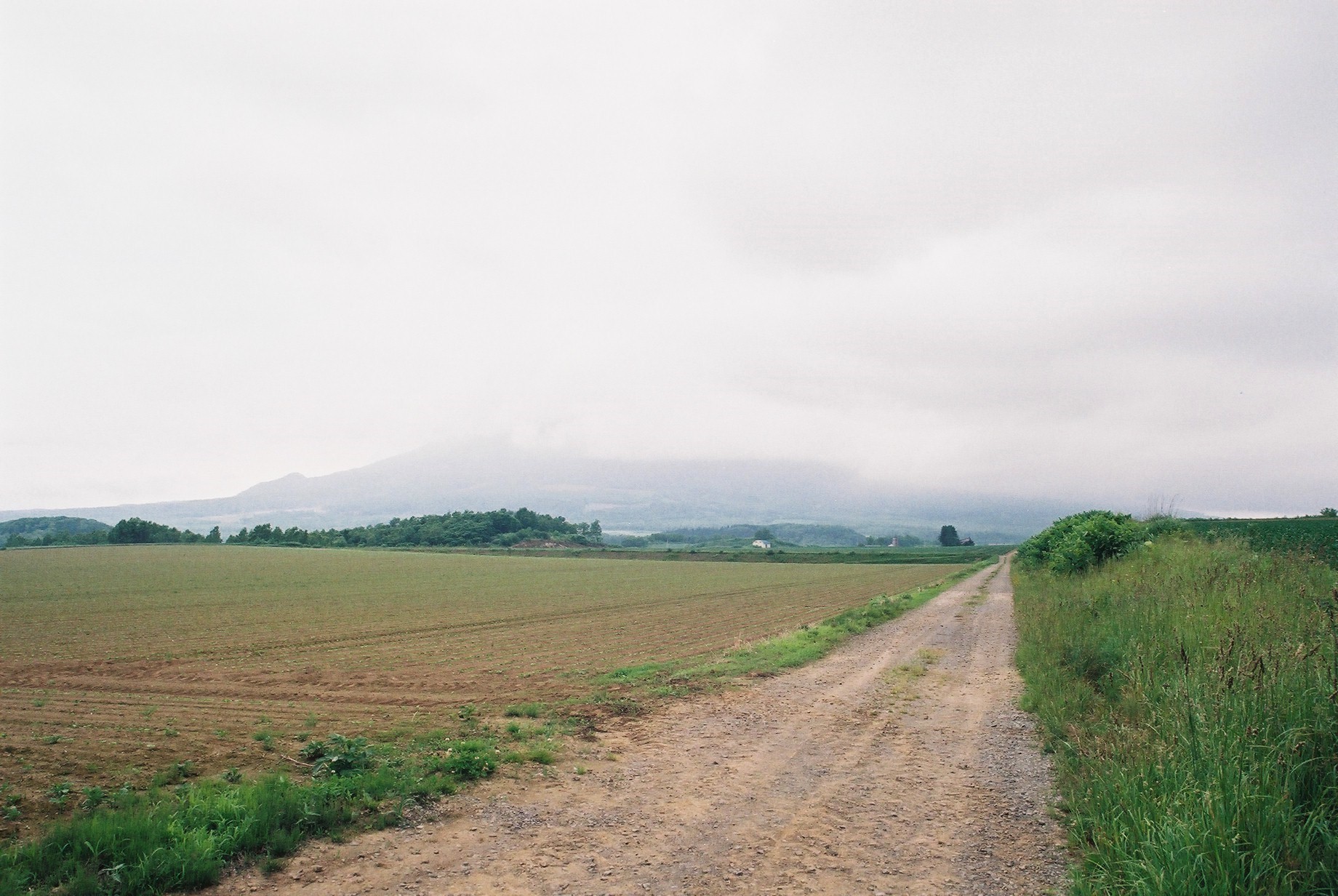 f0362725_23331764.jpg