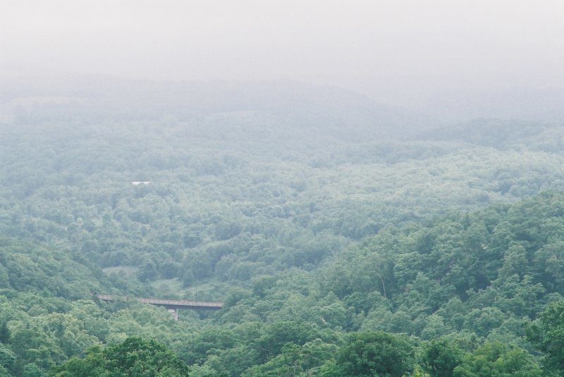 f0362725_23334780.jpg