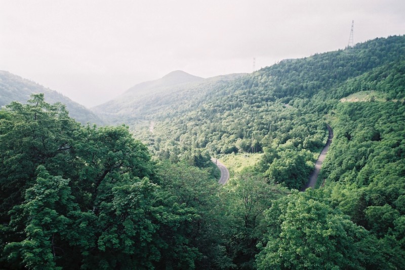 f0362725_23353562.jpg