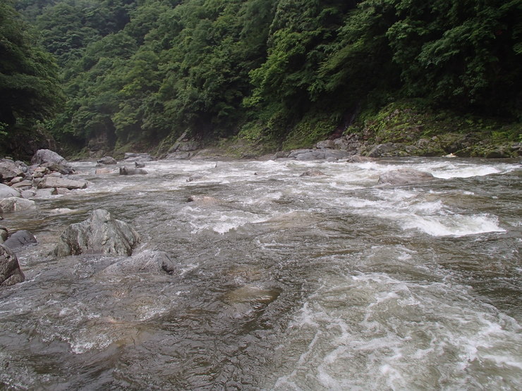 d0172227_540233.jpg