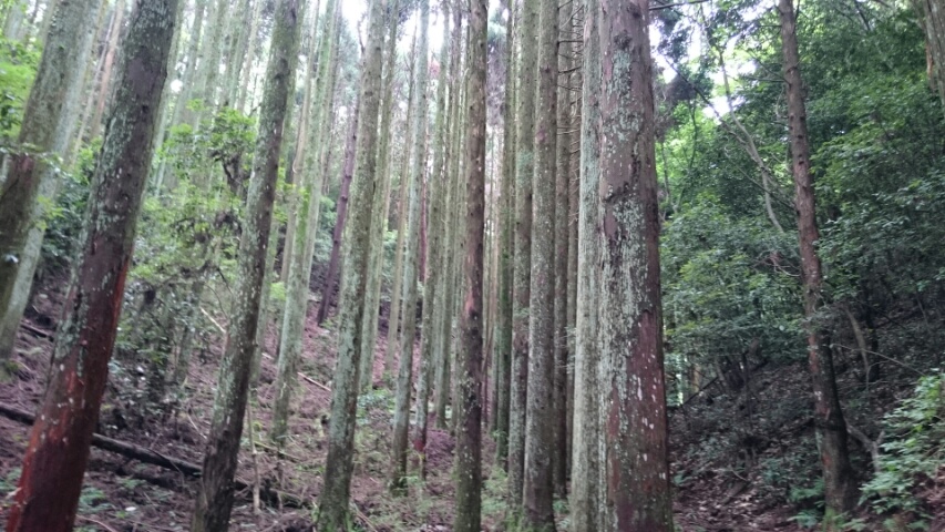 c0167336_23264587.jpg