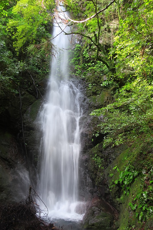 真妻山で水遊び_b0133440_8143466.jpg