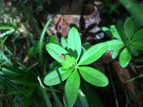 b0330040_01251610.jpg
