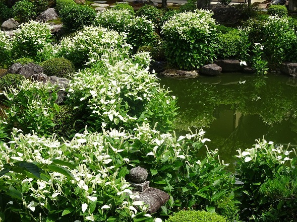 b0299042_16261640.jpg
