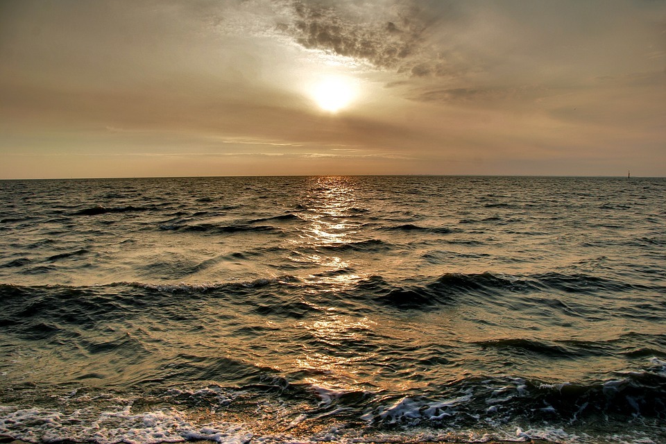 c0011649_01104745.jpg