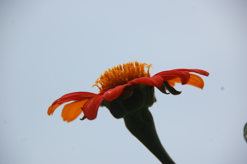 c0108460_18314330.jpg