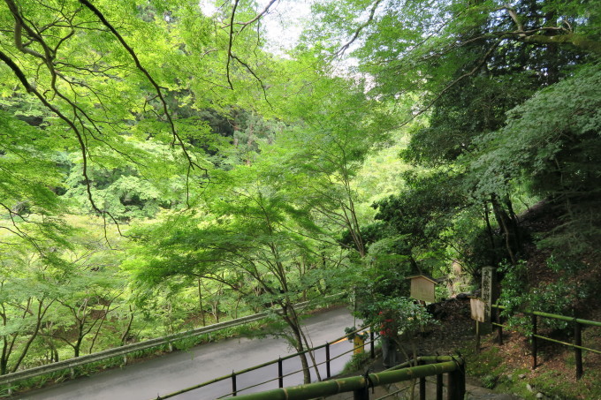 f0358360_21110478.jpg