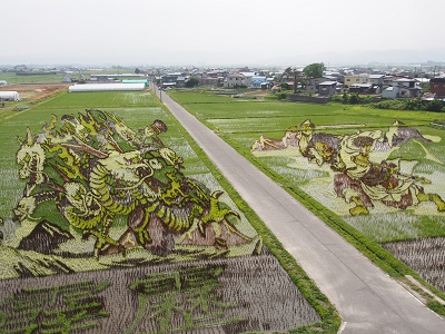 田舎館村第1田んぼアート見学_2017.07.02_d0131668_15184397.jpg