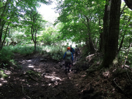 西登山口からの由布岳（由布市）_d0182075_02490201.jpg