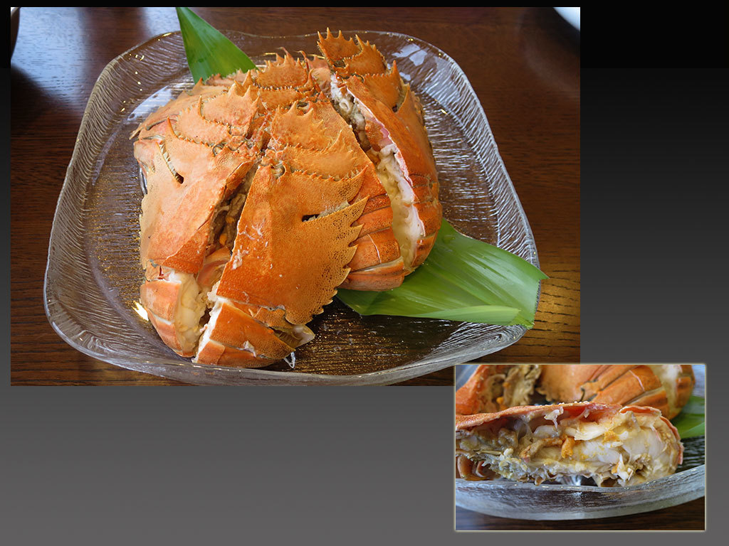 ウチワエビ matsudas ウチワエビ matsudas