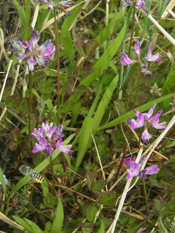 f0083977_761723.jpg