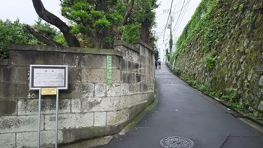 ラン・ウォーク・フォト（～築地市場～豊洲市場～臨海副都心　計21km））_e0020682_1016194.jpg