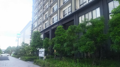 ラン・ウォーク・フォト（～築地市場～豊洲市場～臨海副都心　計21km））_e0020682_1203428.jpg