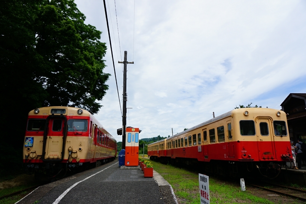 d0341483_17464523.jpg