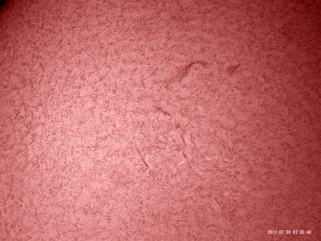 7月3日の太陽_e0174091_16112374.jpg