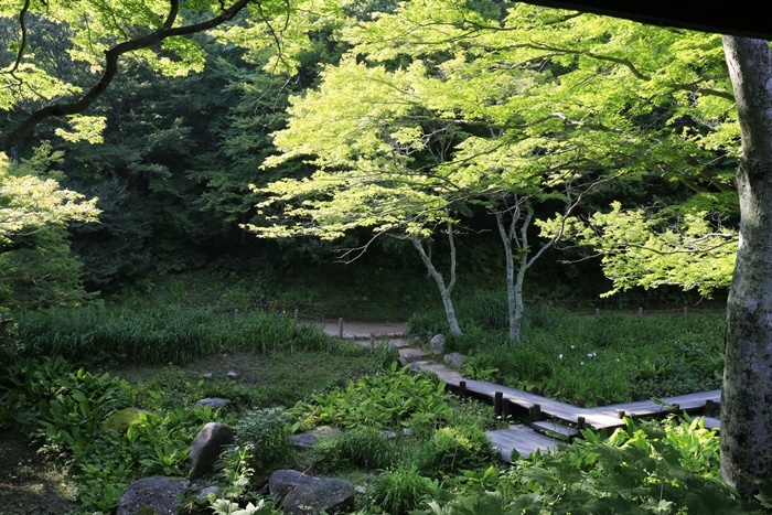 涼と癒しの六甲高山植物園_a0123003_09114195.jpg