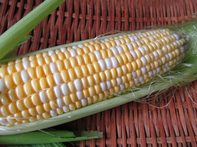 d0147804_19244014.jpg
