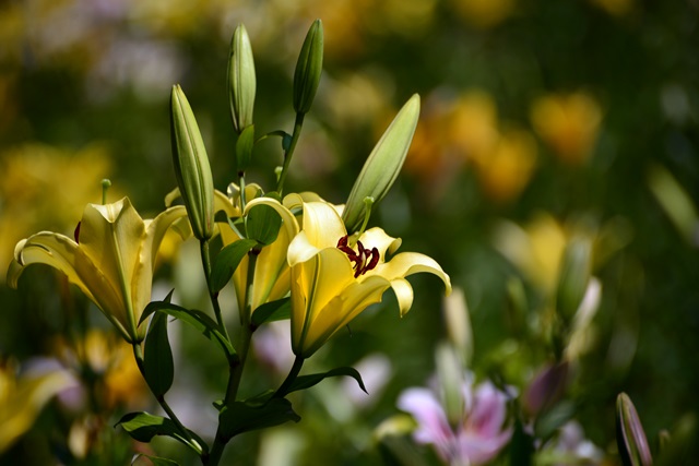 f0373905_1114350.jpg