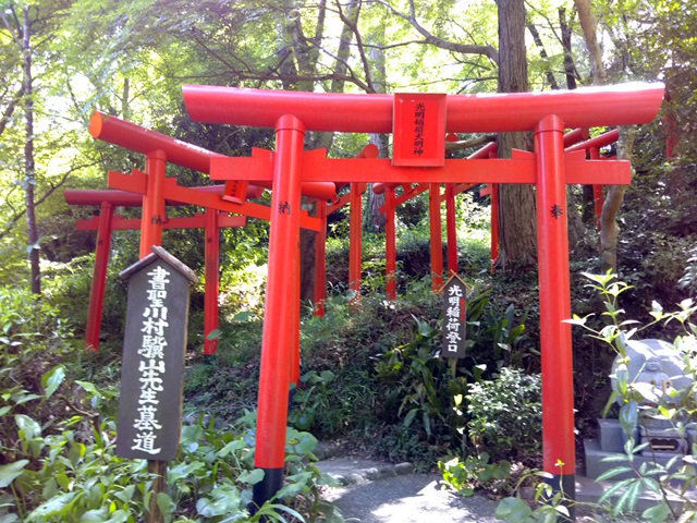 2017.6.17　可睡斎と油山寺_f0373905_15184065.jpg