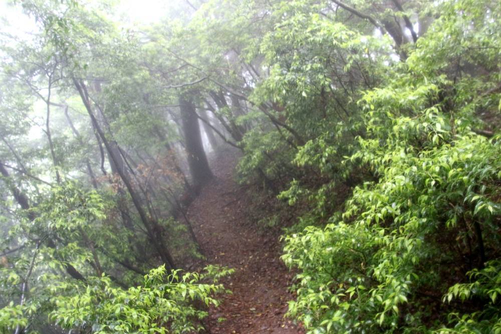 f0212511_23104130.jpg
