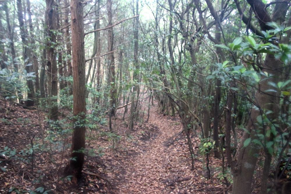 f0212511_23105637.jpg