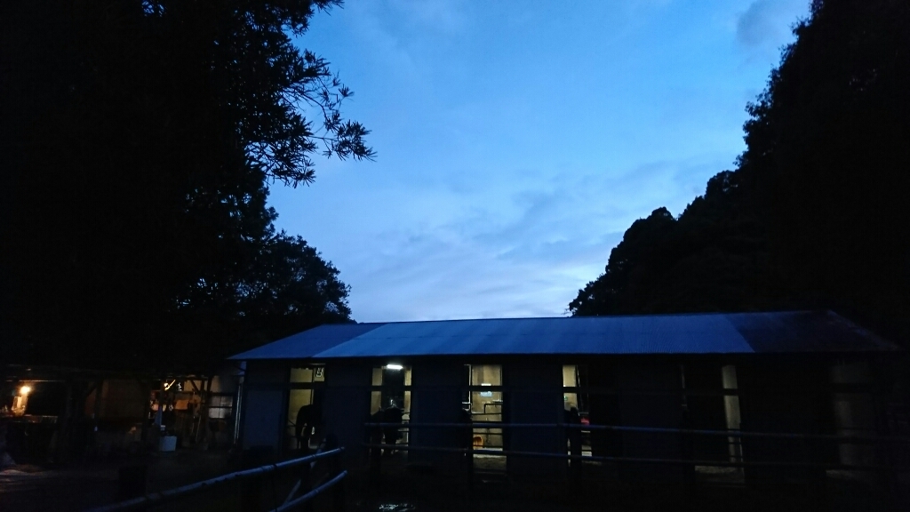 b0187620_20142723.jpg