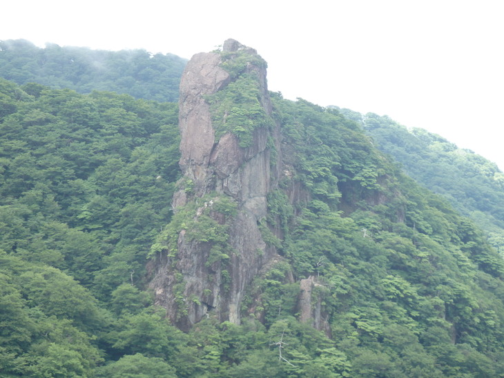 f0193521_7346.jpg