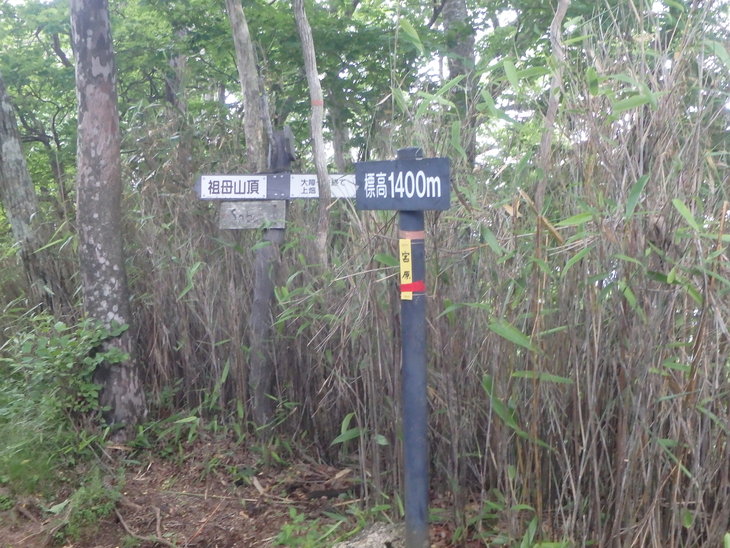 f0193521_943259.jpg