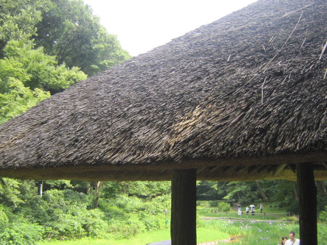 d0162225_20541995.jpg