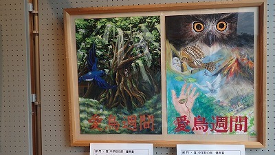 愛鳥週間のポスター原画展が始まりました。_b0189727_16332498.jpg