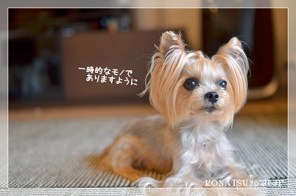 d0179828_20121552.png