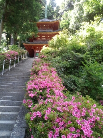 夏場は辛いよ_f0343531_05422140.jpg