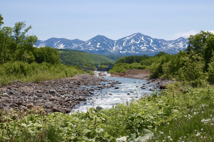 【美瑛サイクリング（2）】北海道旅行 - 12 -_f0348831_23035902.jpg