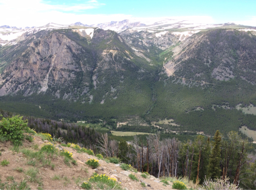 d0114237_01412861.jpg