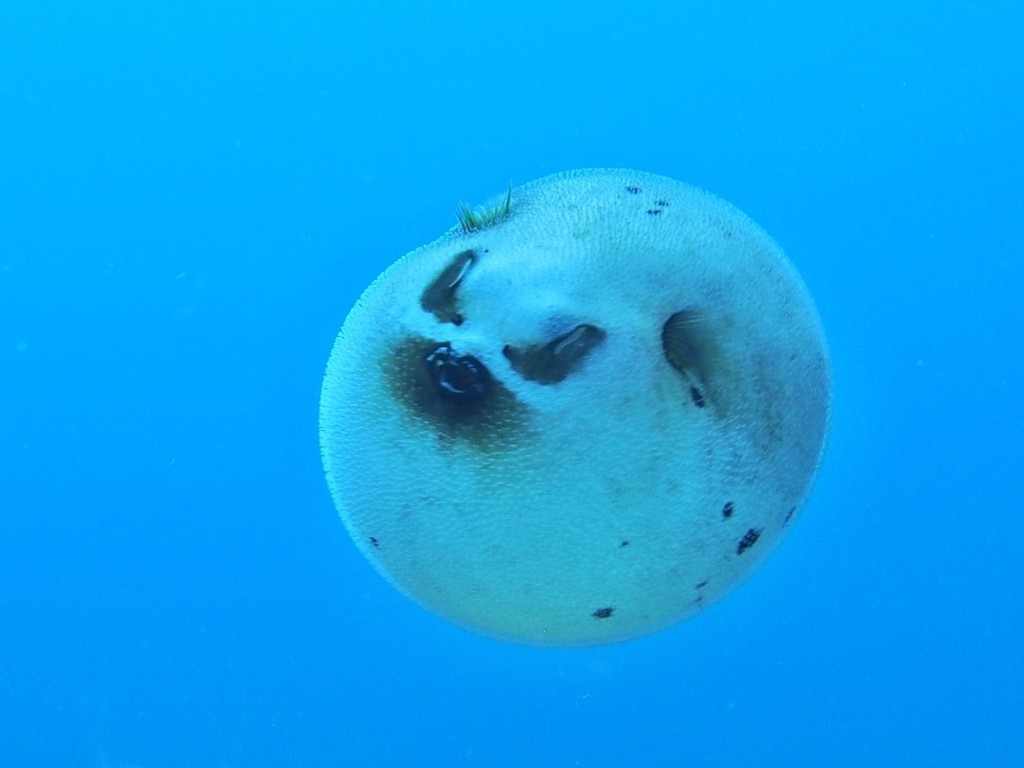 台風が来る！？_a0189838_06513126.jpg