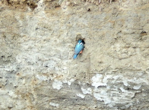 d0354344_13411904.jpg