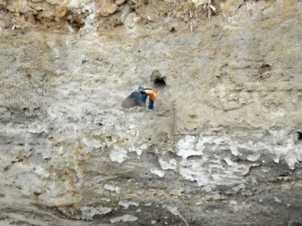 d0354344_13413733.jpg