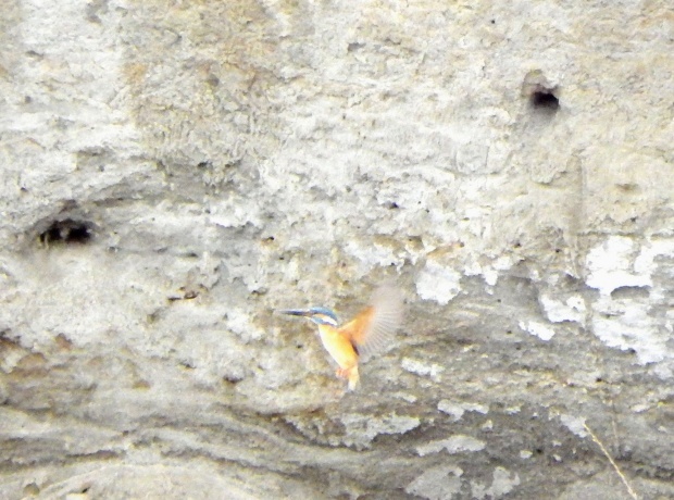 d0354344_13415502.jpg