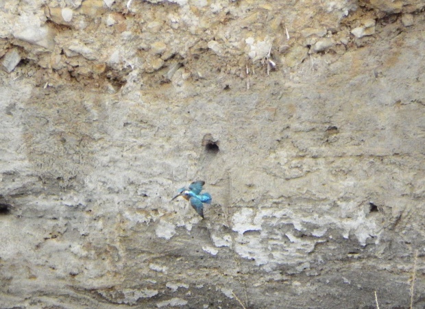 d0354344_13440729.jpg