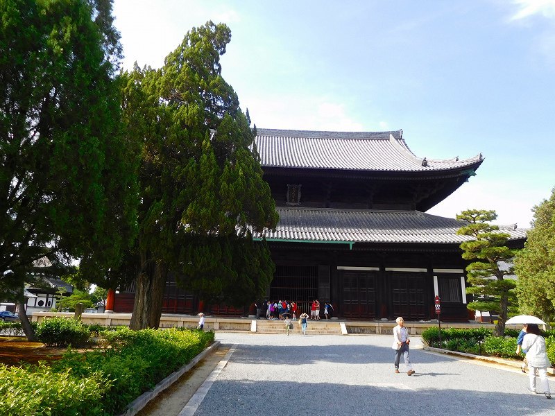 東福寺グリーンもみじ20170617_e0237645_22124700.jpg