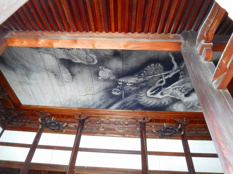 東福寺グリーンもみじ20170617_e0237645_22124704.jpg