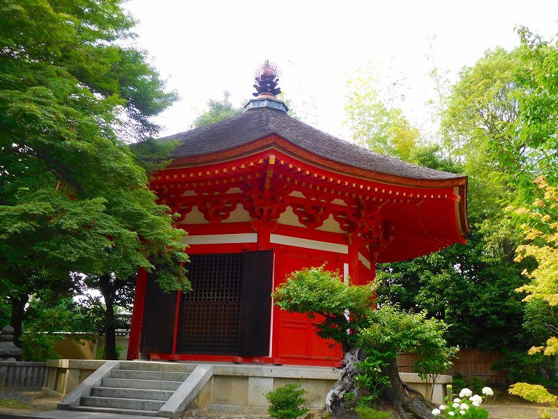東福寺グリーンもみじ20170617_e0237645_22160585.jpg